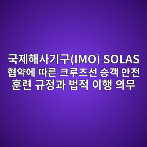 국제해사기구(IMO) SOLAS 협약에 따른 크루즈선 승객 안전 훈련 규정과 법적 이행 의무 3 eab5adeca09ced95b4ec82aceab8b0eab5acimo solas ed9891ec95bdec9790 eb94b0eba5b8 ed81aceba3a8eca688ec84a0 ec8ab9eab09d ec9588eca084 ed9b88 1787468922