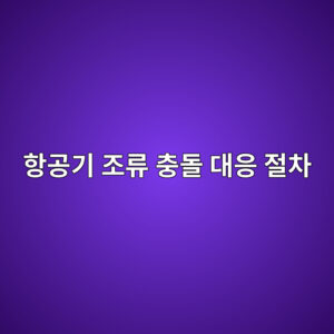 항공기 조류 충돌 대응 절차: Bird Strike 점검과 엔진 손상 판단 기준 3 ed95adeab3b5eab8b0 eca1b0eba598 ecb6a9eb8f8c eb8c80ec9d91 eca088ecb0a8 1788703927