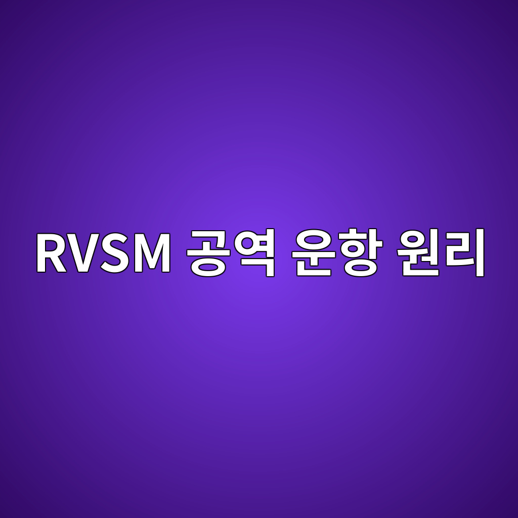 rvsm eab3b5ec97ad ec9ab4ed95ad ec9b90eba6ac 1788703301